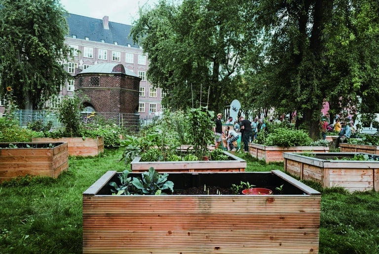 „Begrüne deine Stadt“: Bei der Urban-Gardening-Aktion wird am Samstag gemeinsam gepflanzt