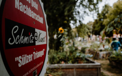 Begrüne deine Stadt: Gemeinsam den Sülzer Triangel noch grüner machen