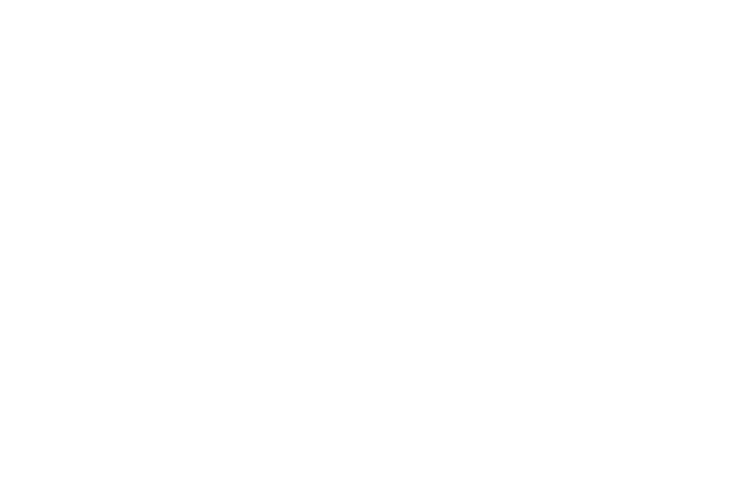 Gaffel ZERO,O Logo